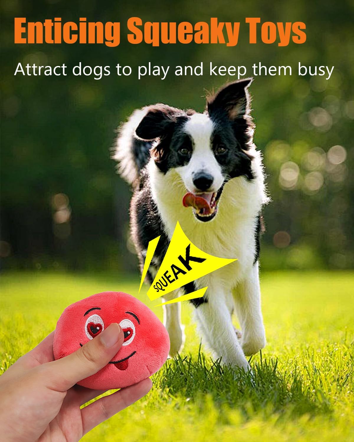 Squeaky Dog Toys, Stuffed Plush Puppy Toy Balls